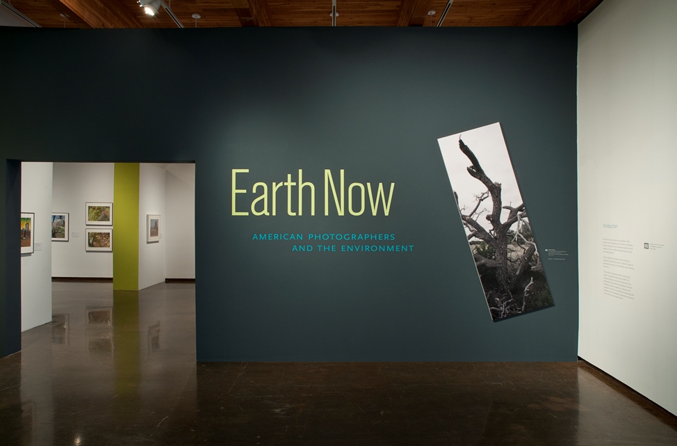Frontal view of a dark blue-green wall with the lime green words "Earth Now" on it and a large tilted photograph of a tree.