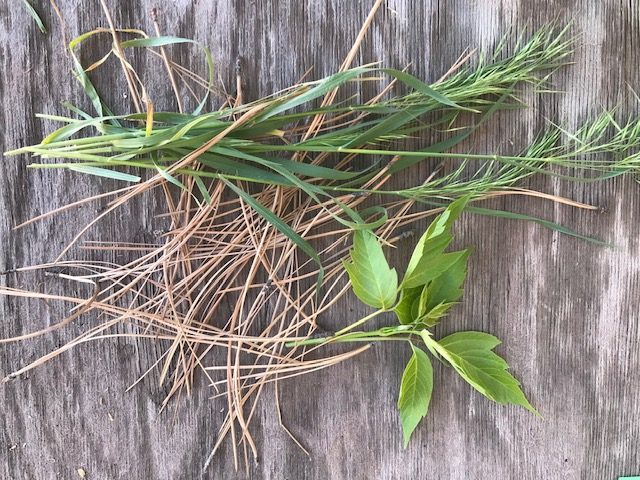 An overhead view of emerald green grass, light green leaves and orange-tinted pine needles on a wooden background.