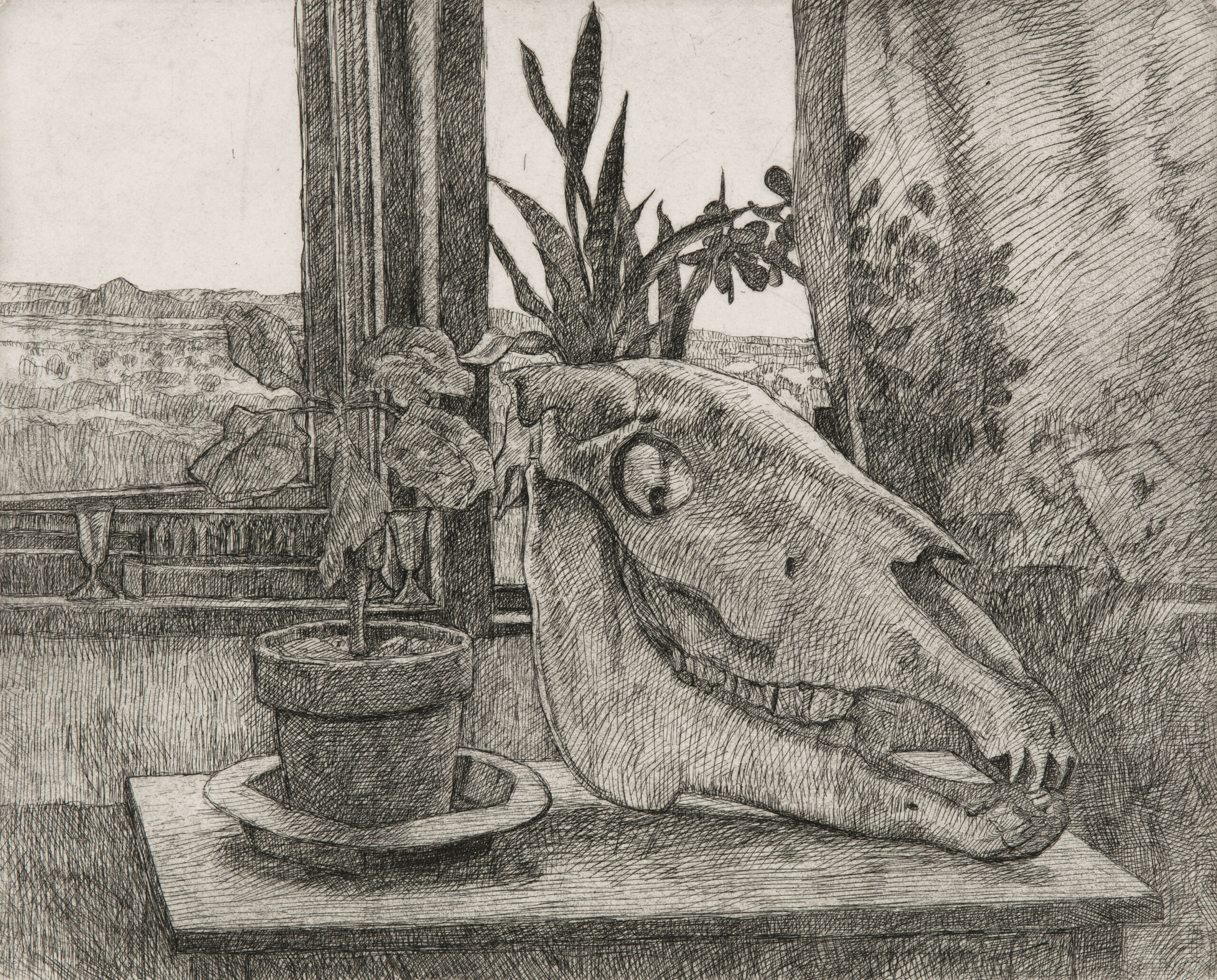 A black and white etching of a horse skull and greenery set against a large glass window. Beyond, a vast desert landscape stretches toward the horizon.